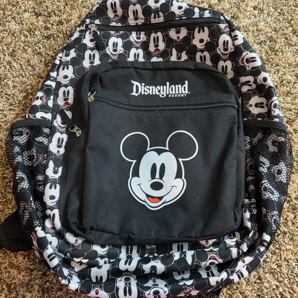 Disneyland Resort Backpack!!